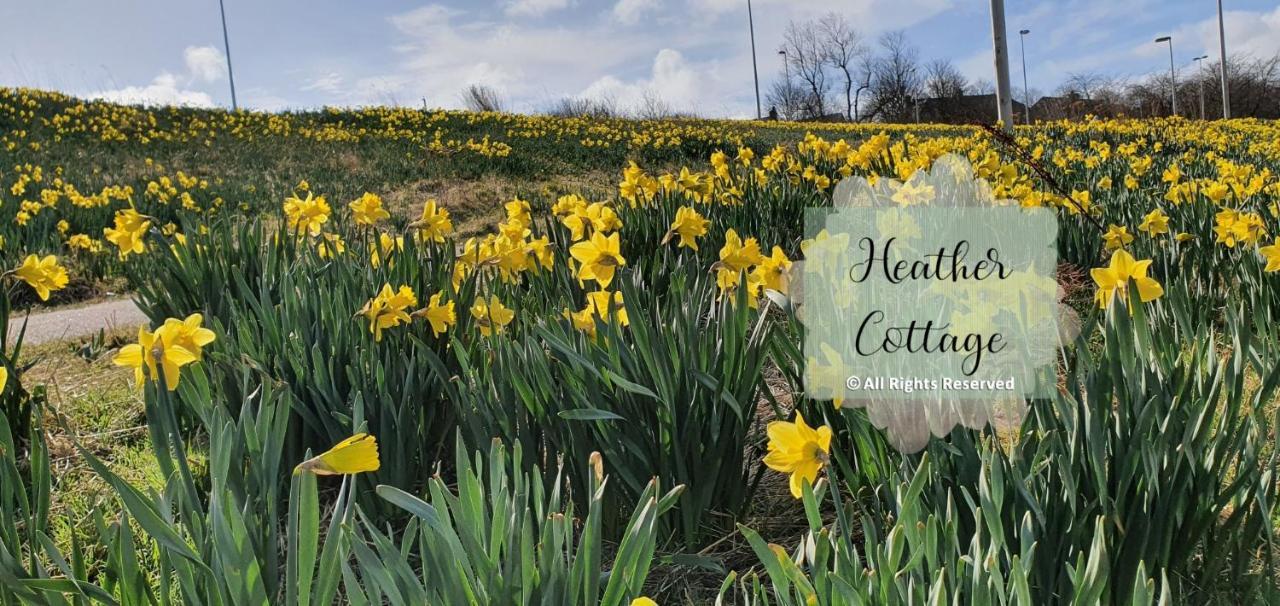 Heather Cottage Aberdeen Exterior foto